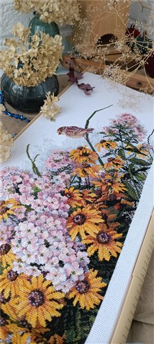 Black Eyed Susans And Phlox Cross Stitch Kit