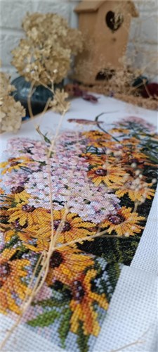 Black Eyed Susans And Phlox Cross Stitch Kit