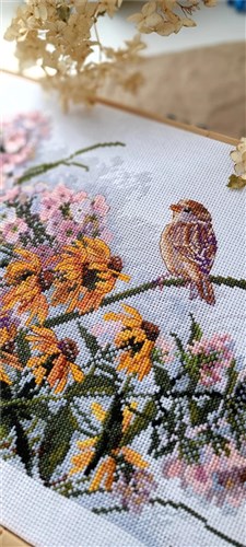 Black Eyed Susans And Phlox Cross Stitch Kit