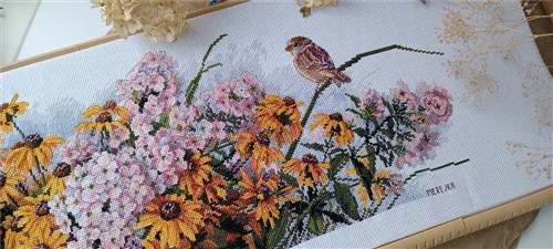 Black Eyed Susans And Phlox Cross Stitch Kit