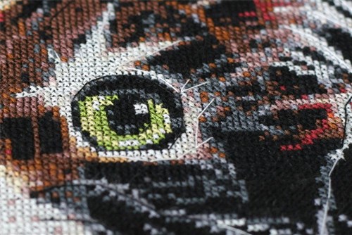 Cross Stitch Kit Fluffy Kitten