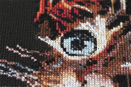 Cross Stitch Kit Fluffy Kitten