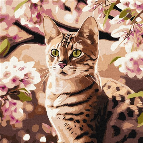 Paint By Numbers Kit Kitten In The Garden