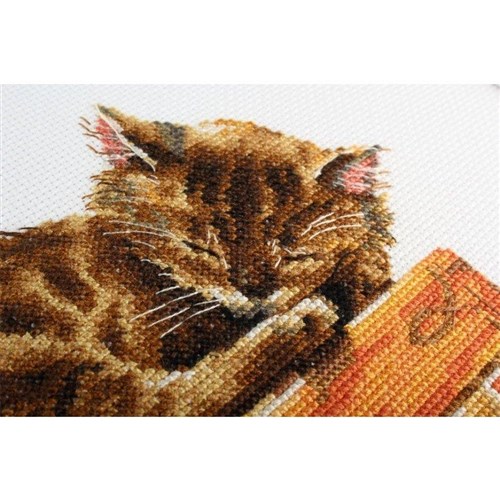 Cat's Dream Cross Stitch Kit