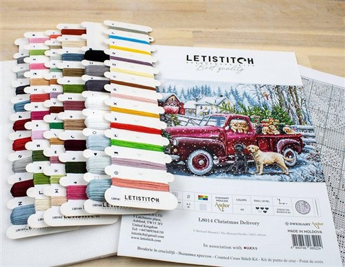 Cross Stitch Kit Christmas Delivery