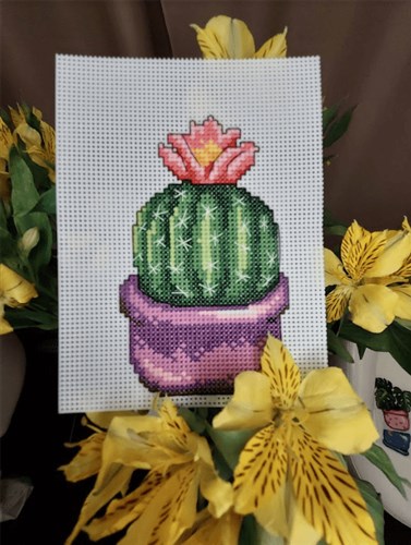 Cactus Cross Stitch Kit