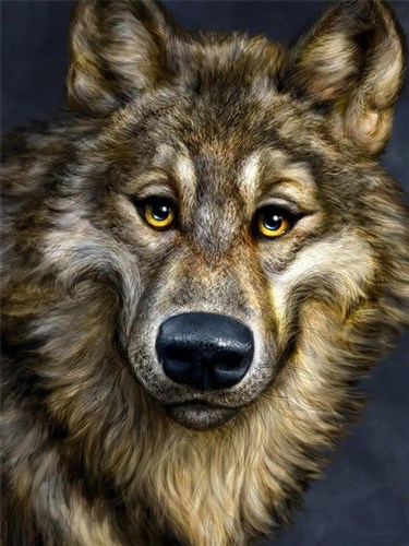 Wolf Diamond Painting Kit