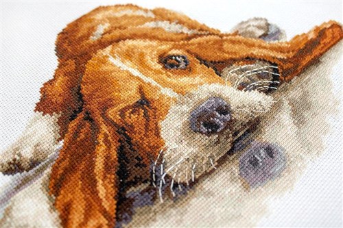 Basset Cross Stitch Kit