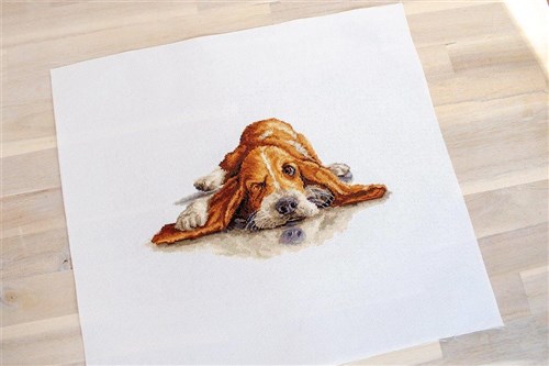 Basset Cross Stitch Kit