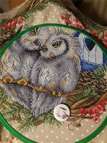 Owl Devotion Cross Stitch Kit