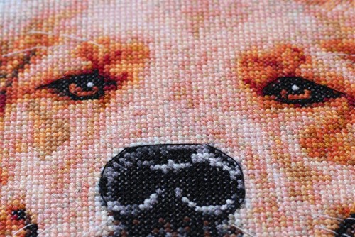 Cross Stitch Kit Friend