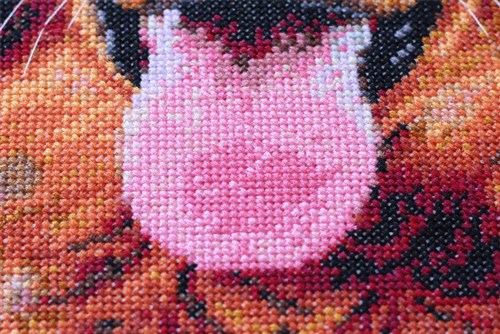 Cross Stitch Kit Friend