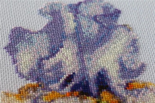 Irises Cross Stitch Kit