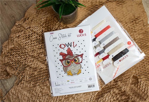 The Owl With Glasses Cross Stitch Kit