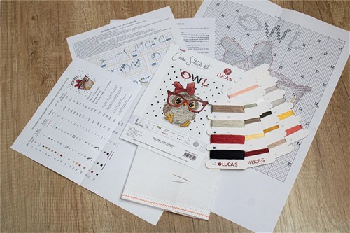 The Owl With Glasses Cross Stitch Kit