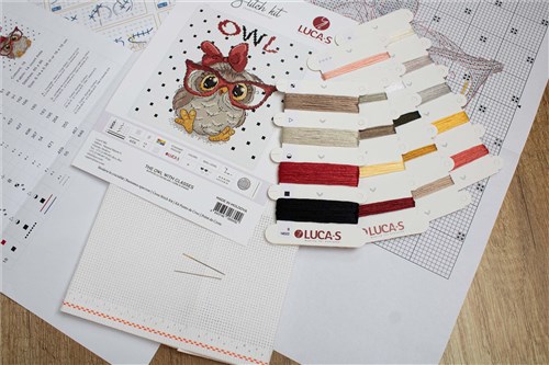 The Owl With Glasses Cross Stitch Kit