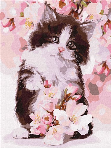 Fluffy Kitten Paint By Numbers Kit