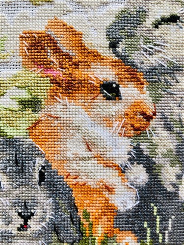 Funny Rabbits Cross Stitch Kit