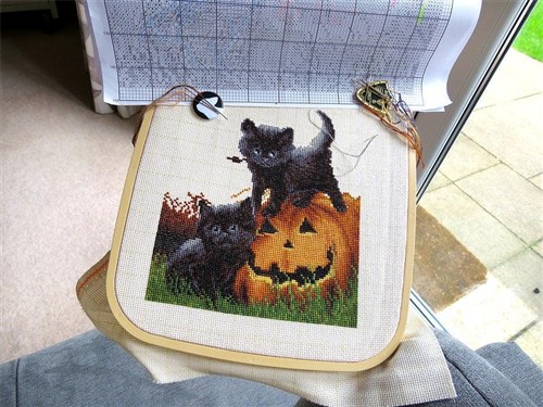 Did We Scare You? Cross Stitch Kit
