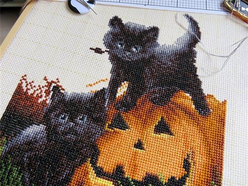 Did We Scare You? Cross Stitch Kit