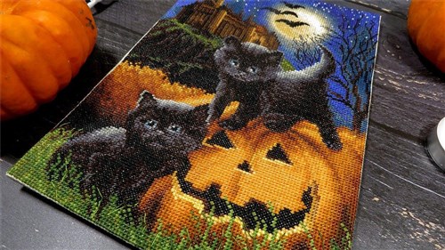 Did We Scare You? Cross Stitch Kit