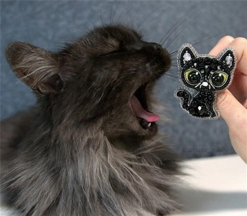 Black Cat Beadwork Brooch Kit