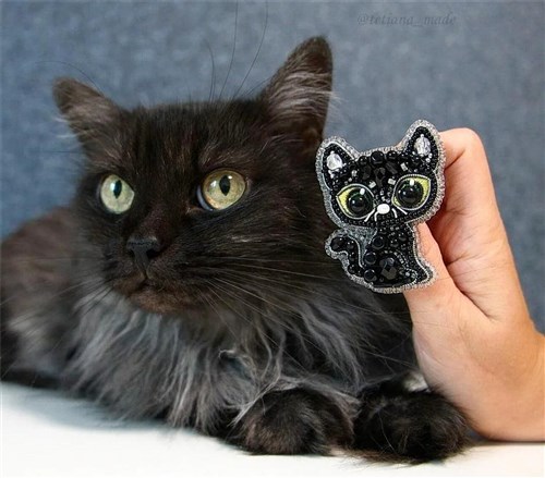 Black Cat Beadwork Brooch Kit