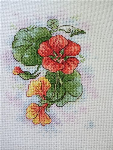 Petals Of Tenderness Cross Stitch Kit