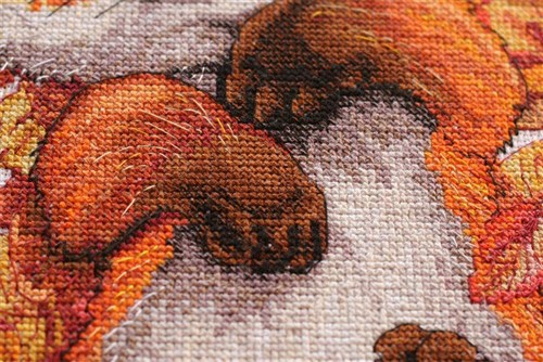 First Autumn Cross Stitch Kit