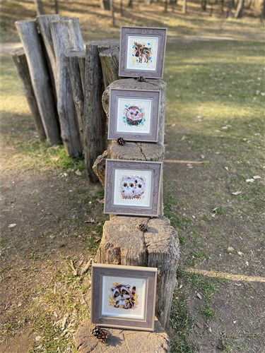 Little Raccoon Cross Stitch Kit