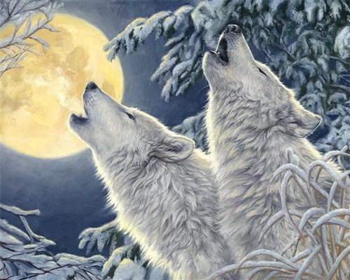 Two Wolves Diamond Painting Kit