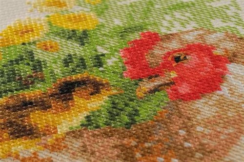 Hen Cross Stitch Kit