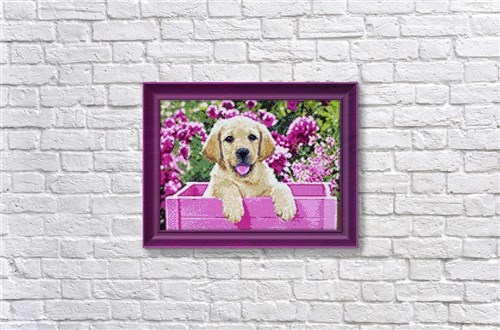 Labrador Puppy in Pink Box Diamond Painting Kit