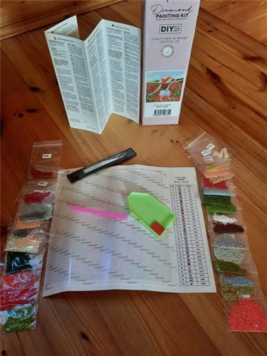 Leo Diamond Painting Kit