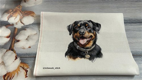 Rottweiler Cross Stitch Kit