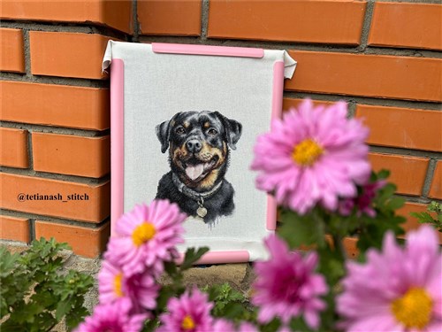 Rottweiler Cross Stitch Kit