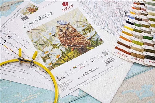 Lucky Owl Cross Stitch Kit