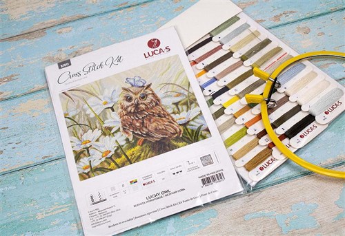 Lucky Owl Cross Stitch Kit