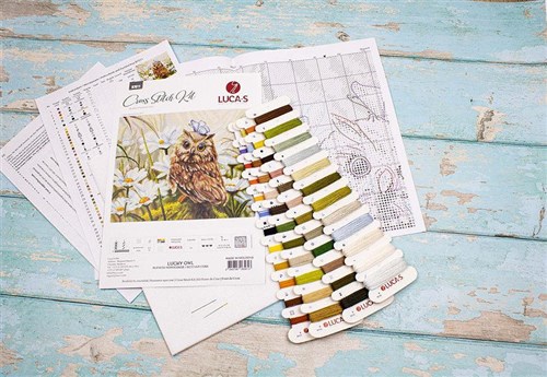 Lucky Owl Cross Stitch Kit