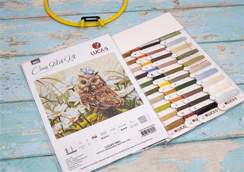 Lucky Owl Cross Stitch Kit