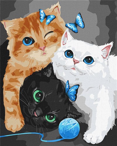 Paint By Numbers Kit - Fluffy