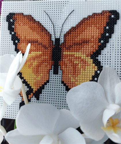 Butterflies Cross Stitch Kit