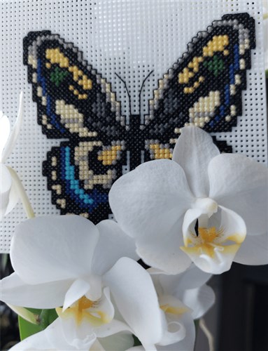 Butterflies Cross Stitch Kit