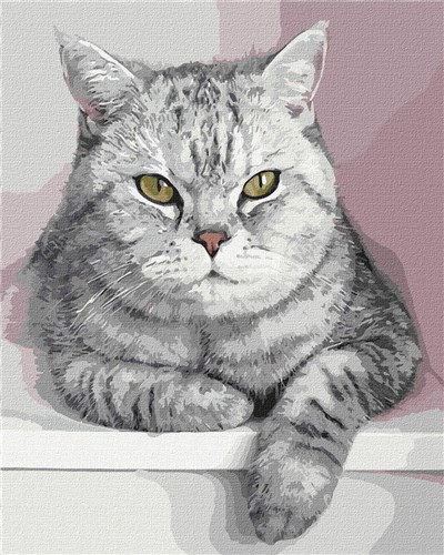 Paint By Numbers Kit My Furry Friend