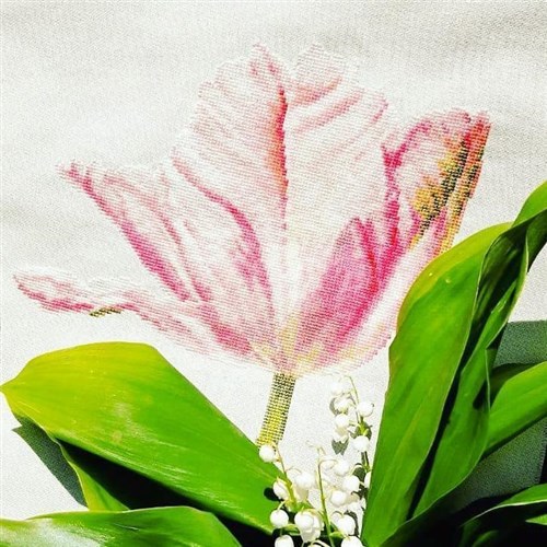 Light Pink Tulips Cross Stitch Kit