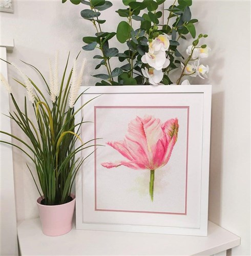 Light Pink Tulips Cross Stitch Kit