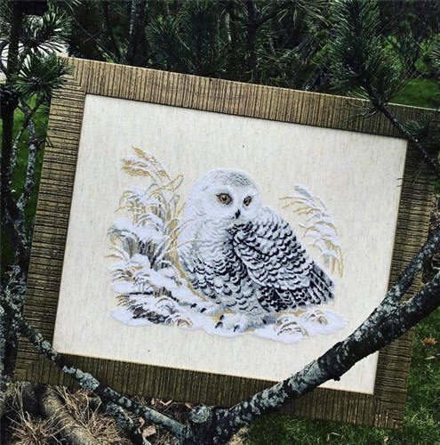 White Owl Cross Stitch Kit