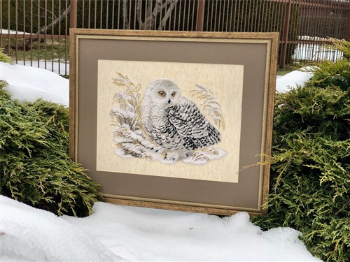 White Owl Cross Stitch Kit