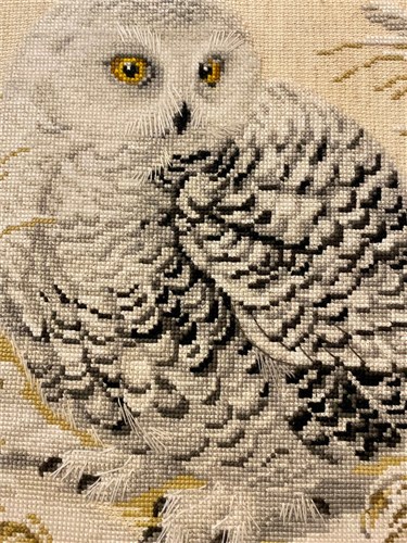 White Owl Cross Stitch Kit