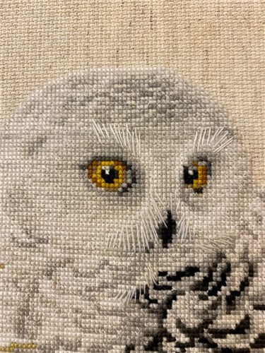 White Owl Cross Stitch Kit